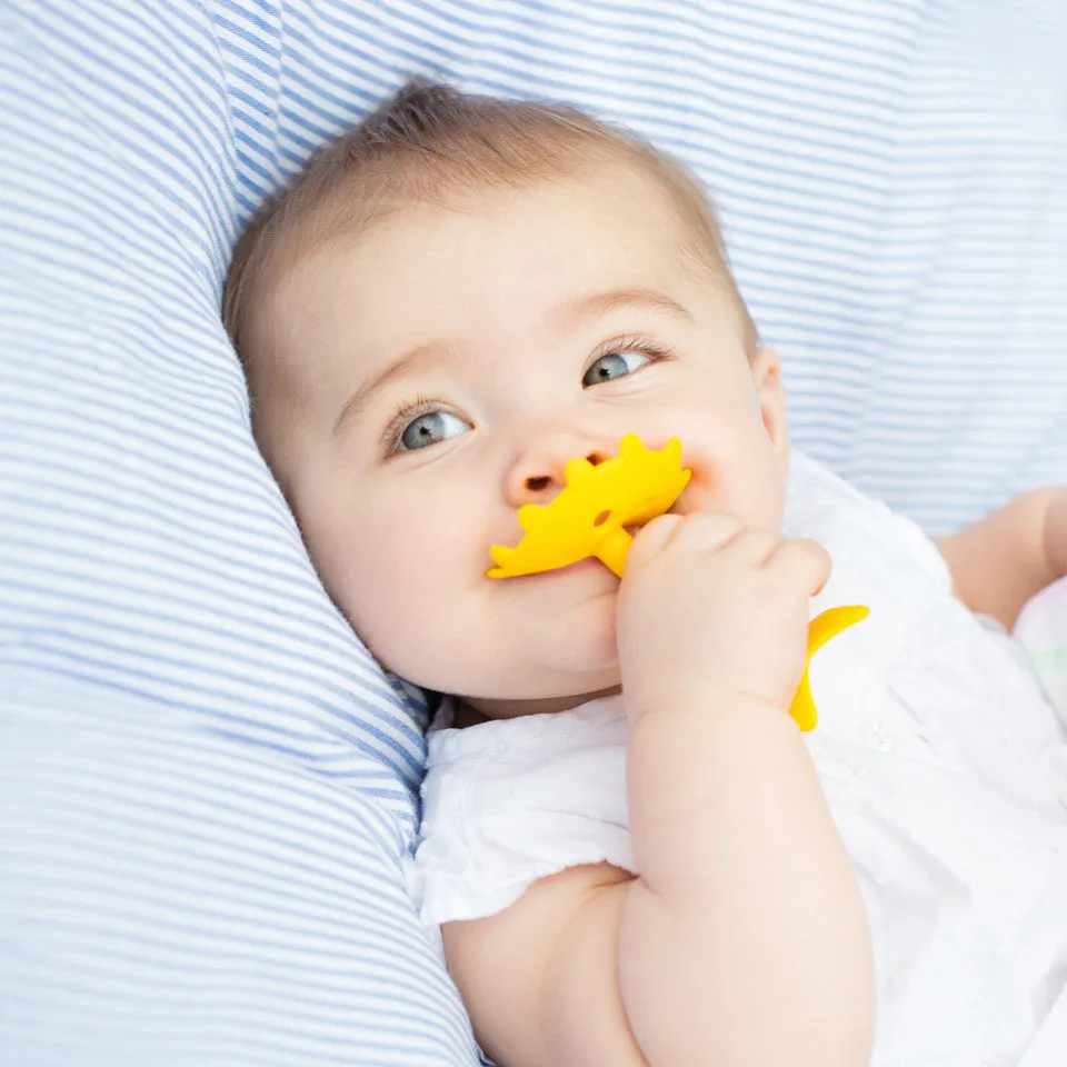 EZ Grip Training Teethers