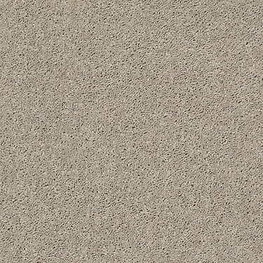Full Court 12' Residential Carpet