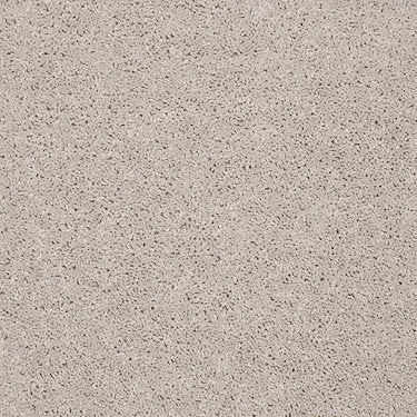Full Court 12' Residential Carpet