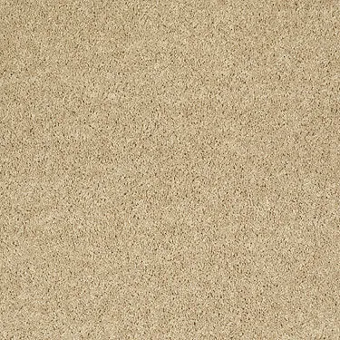Full Court 12' Residential Carpet